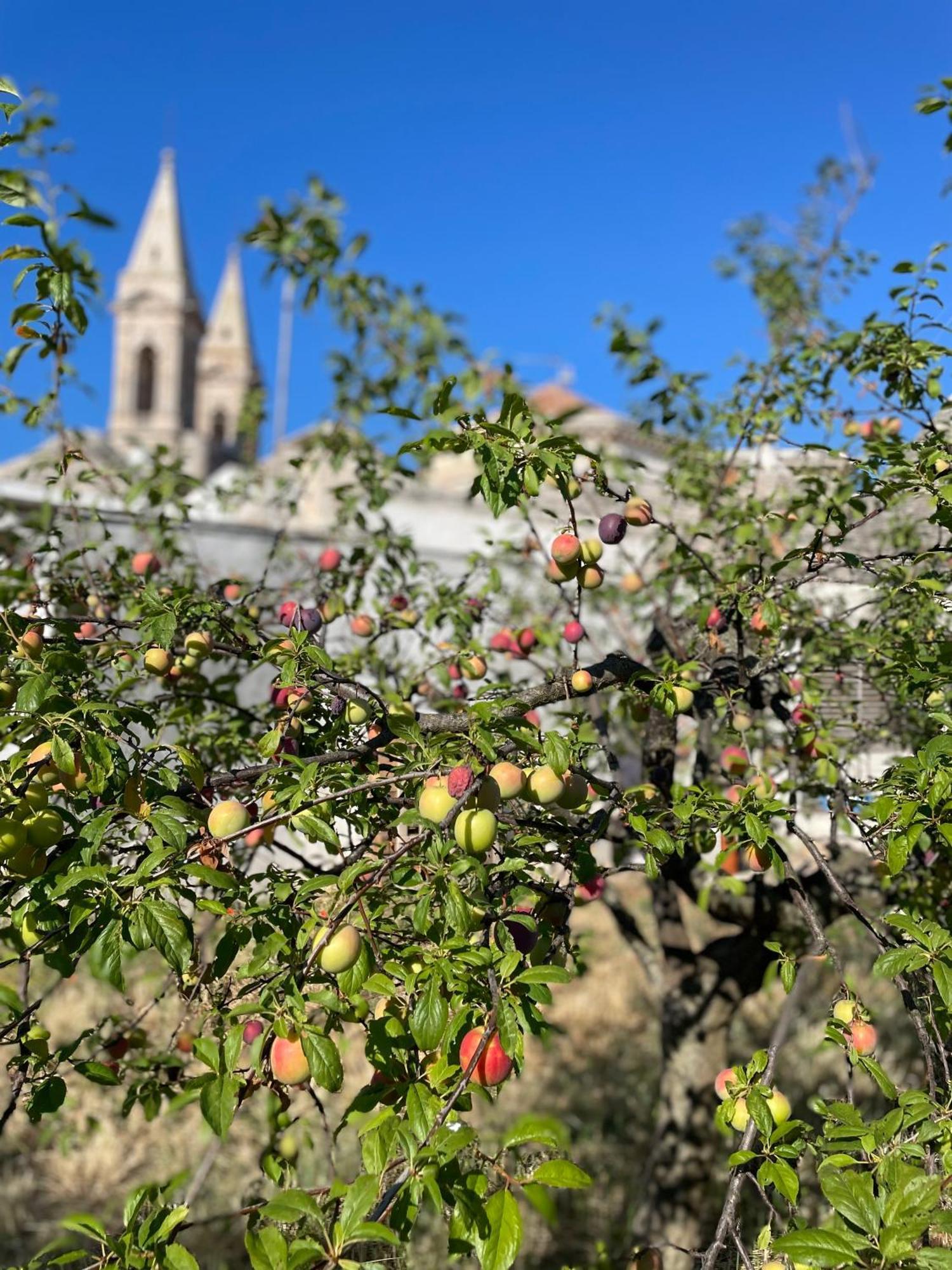 Hotel Borganthia - Il Chiostro Dei Medici Alberobello Exteriér fotografie